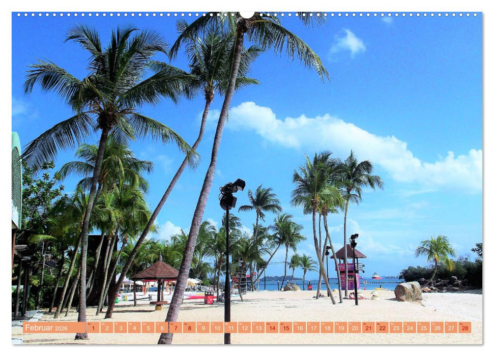 In den Tropen - Ein Blick in die tropische Klimazone (CALVENDO Wandkalender 2026)