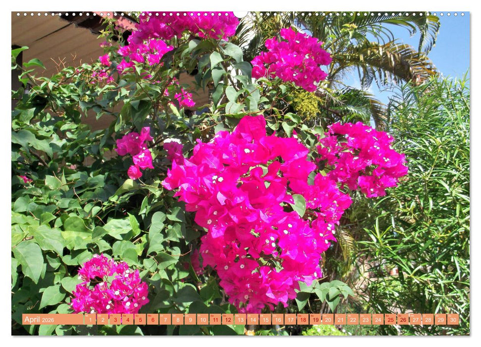 In den Tropen - Ein Blick in die tropische Klimazone (CALVENDO Wandkalender 2026)