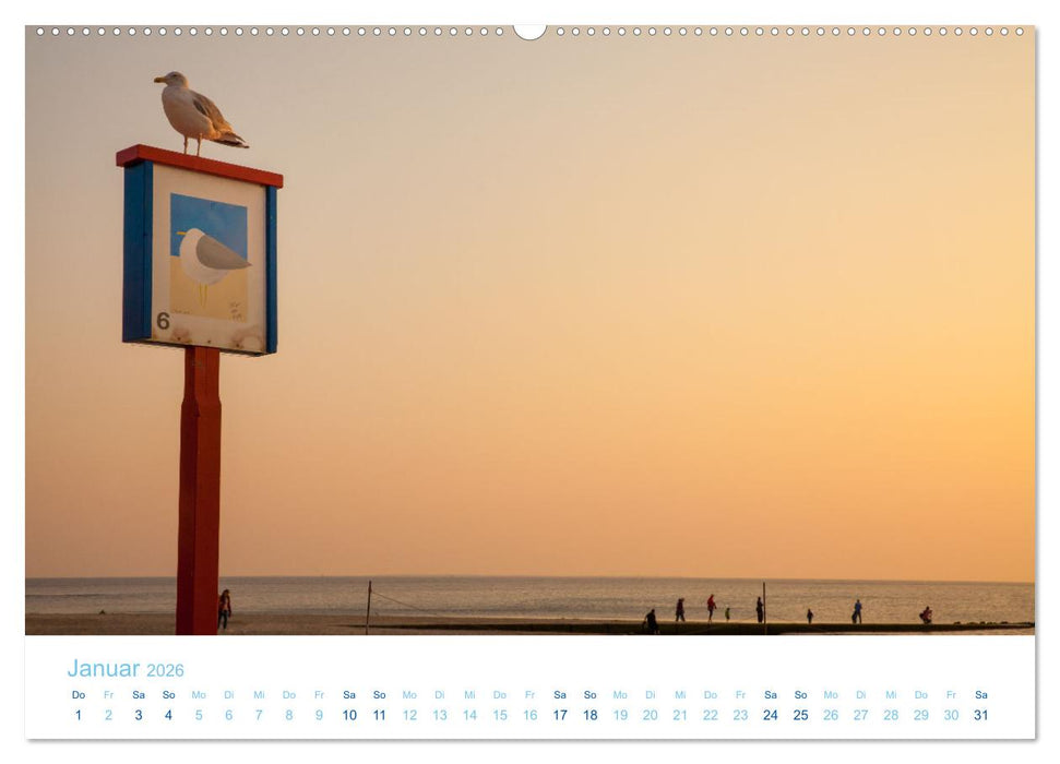 Moin Borkum (CALVENDO Premium Wandkalender 2026)