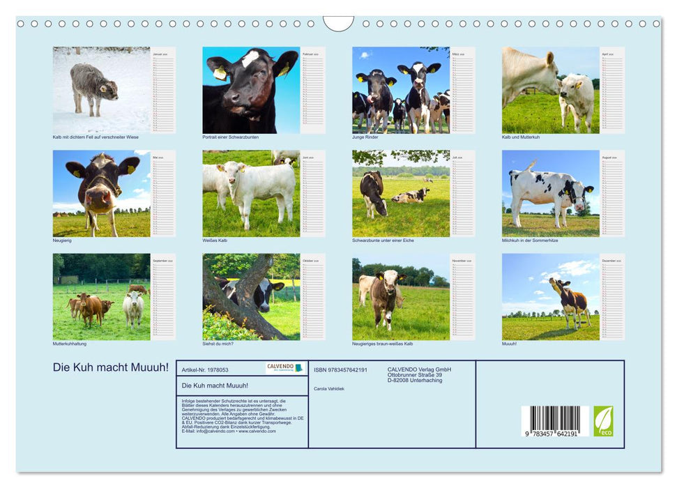 Die Kuh macht Muuuh! (CALVENDO Wandkalender 2026)