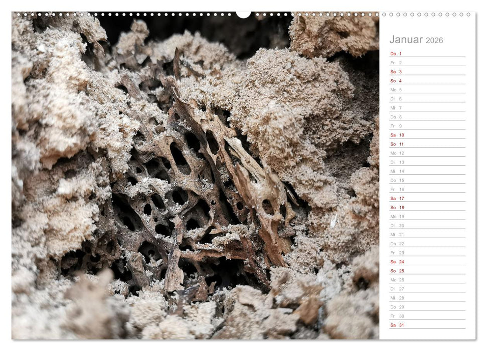 Abstrakte Umwelt (CALVENDO Wandkalender 2026)