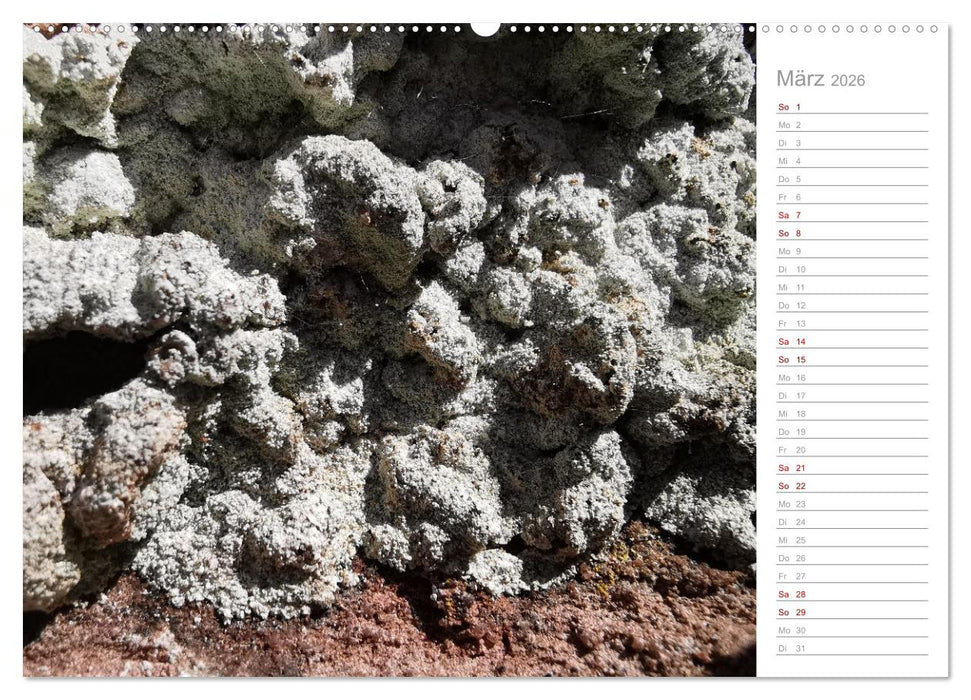 Abstrakte Umwelt (CALVENDO Wandkalender 2026)