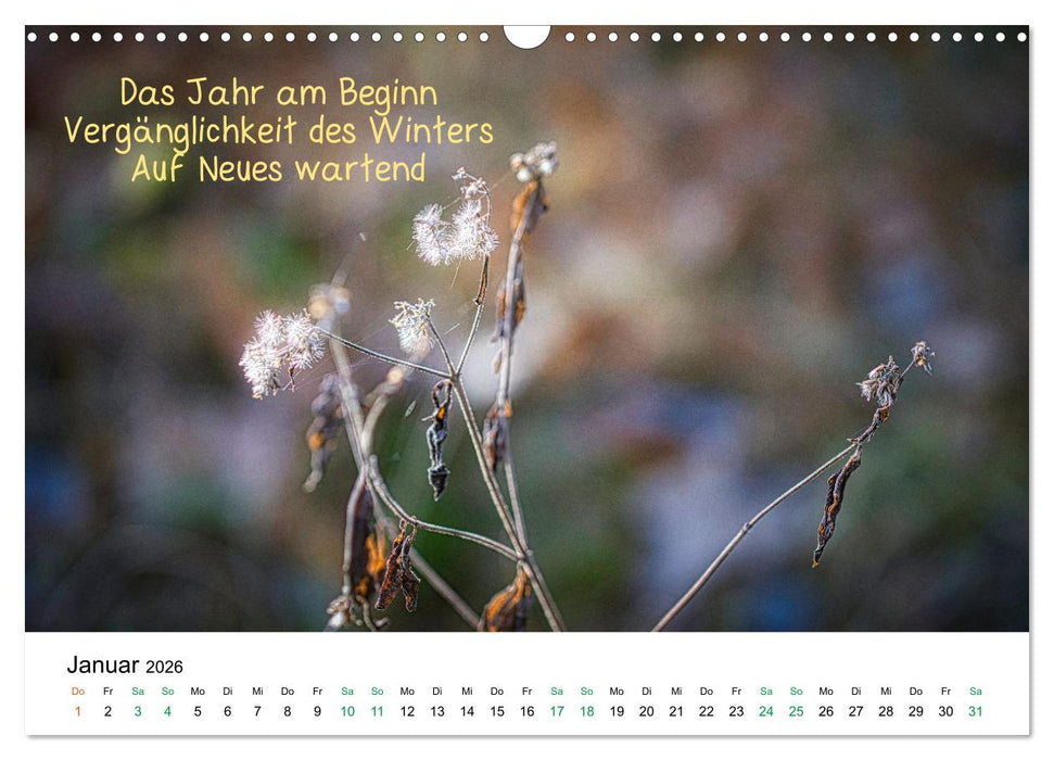 HAIKU, eine fotografische Interpretation (CALVENDO Wandkalender 2026)