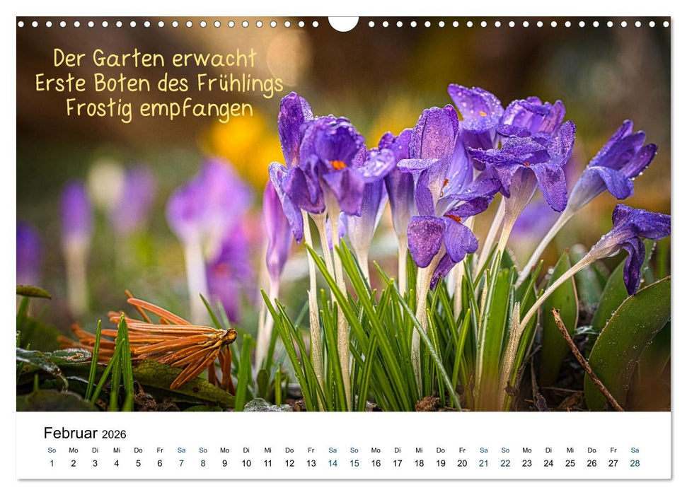 HAIKU, eine fotografische Interpretation (CALVENDO Wandkalender 2026)