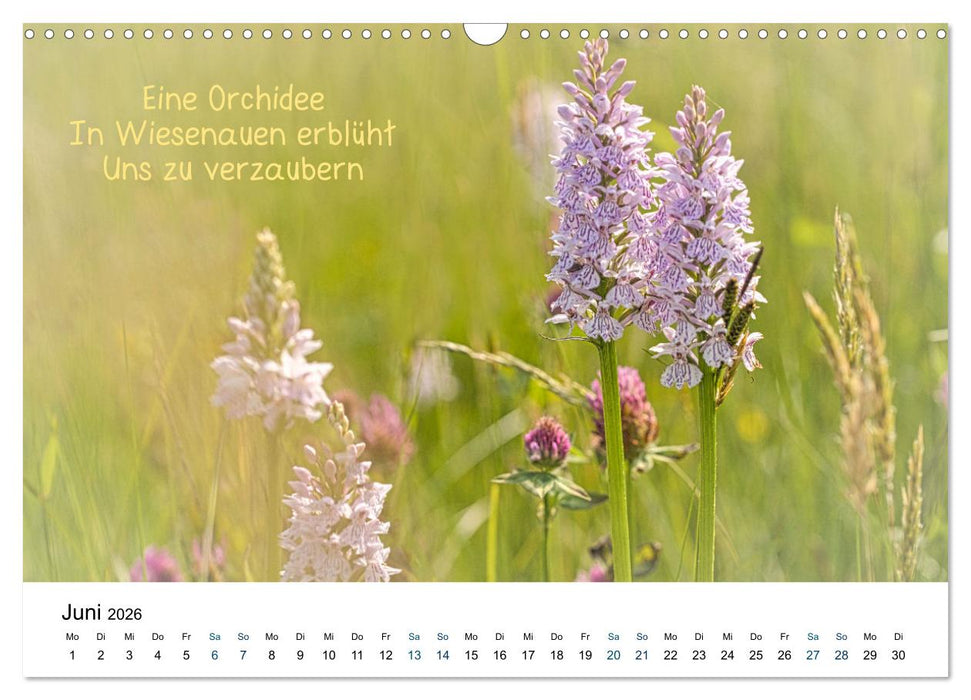 HAIKU, eine fotografische Interpretation (CALVENDO Wandkalender 2026)