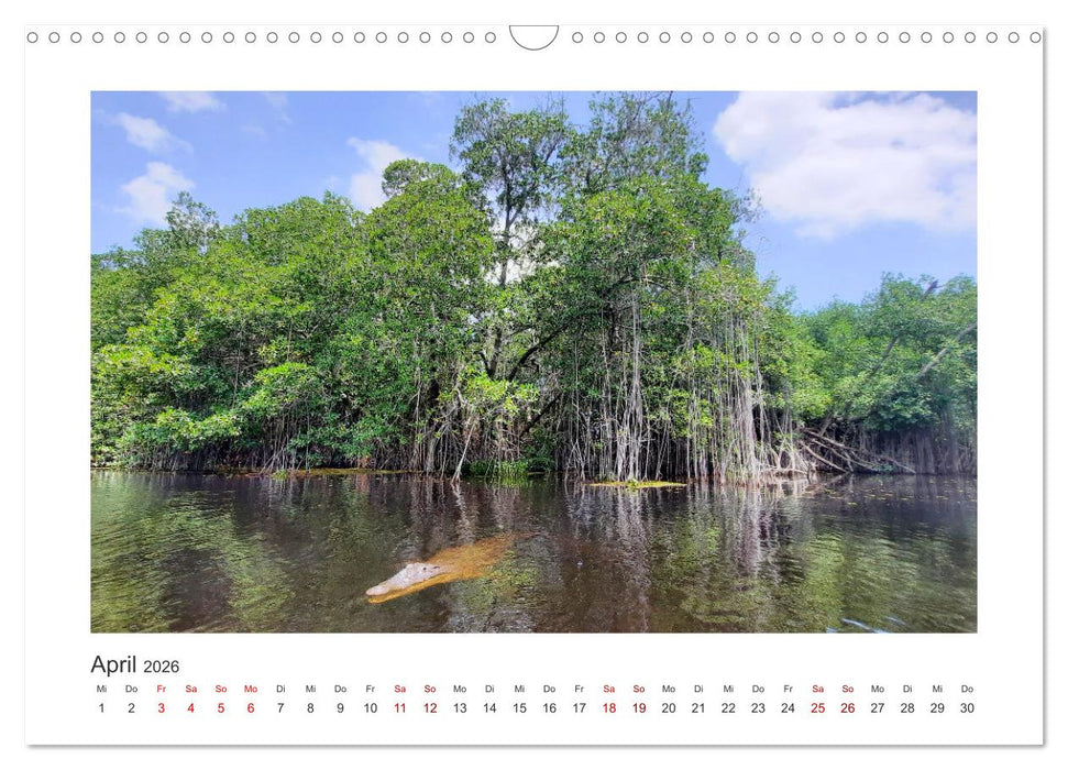 Jamaika - Perle der Karibik 2026 (CALVENDO Wandkalender 2026)