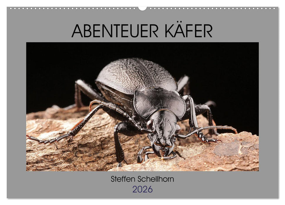 ABENTEUER KÄFER (CALVENDO Wandkalender 2026)