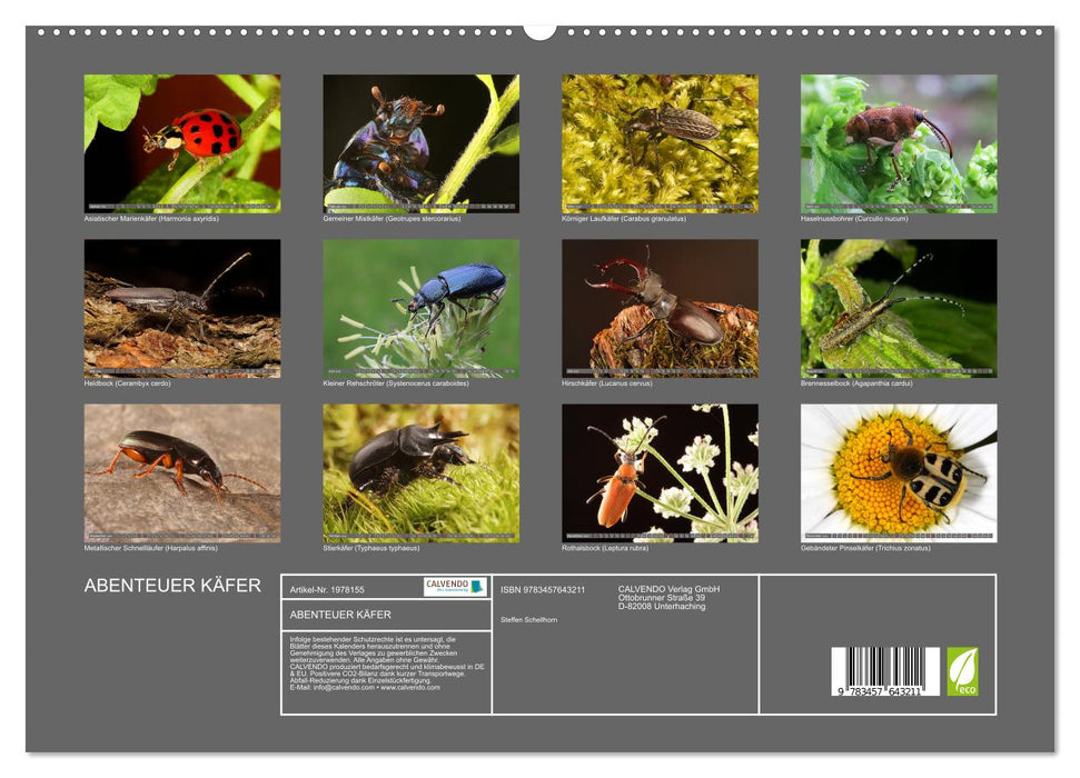 ABENTEUER KÄFER (CALVENDO Wandkalender 2026)