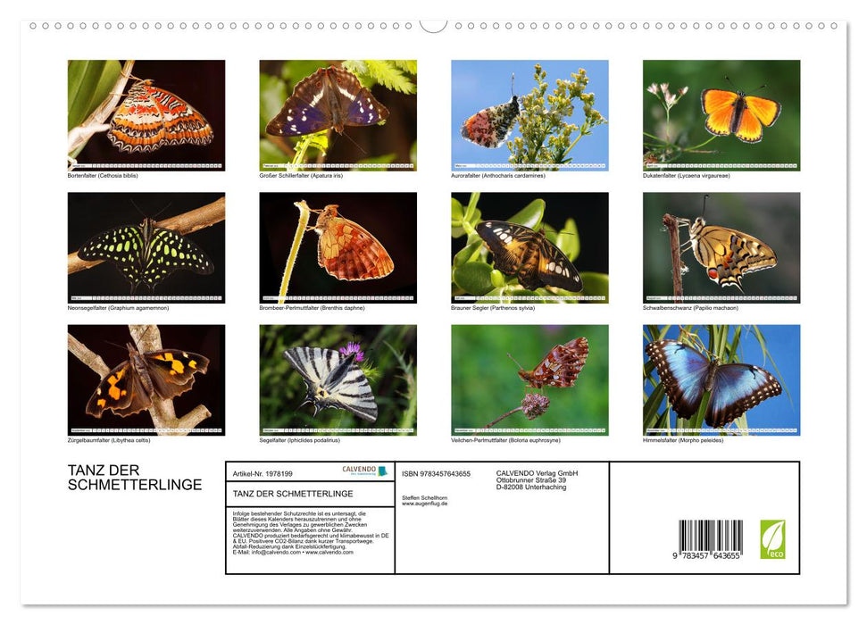 TANZ DER SCHMETTERLINGE (CALVENDO Wandkalender 2026)