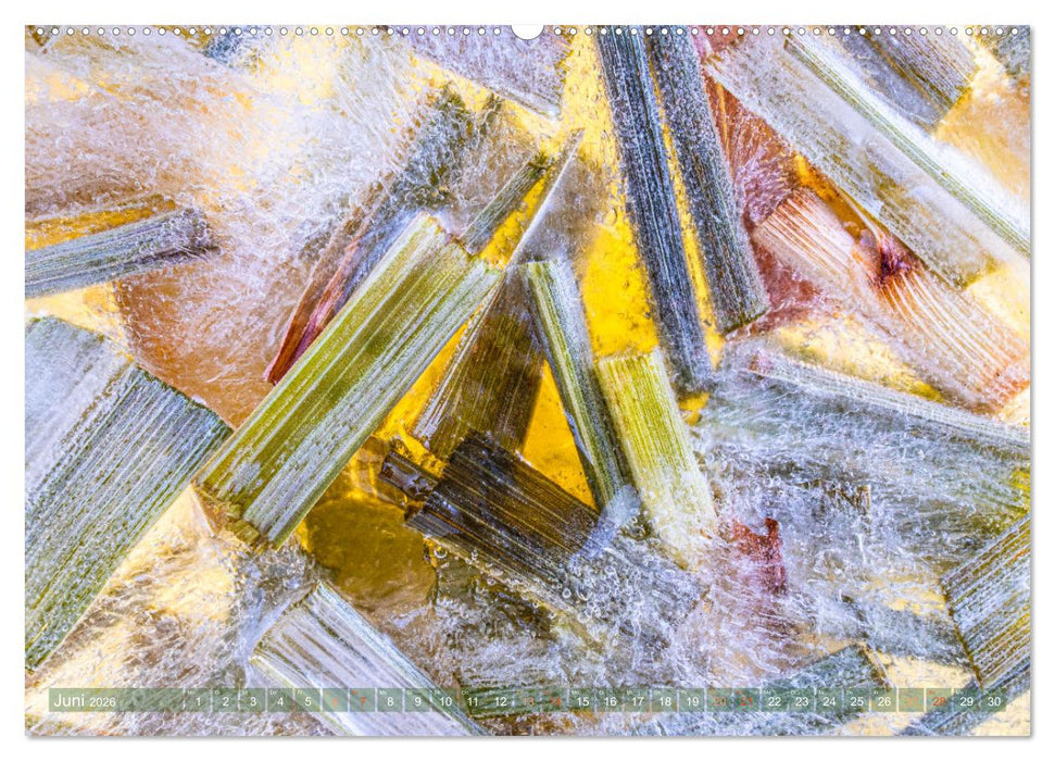 Würziges Eis (CALVENDO Wandkalender 2026)