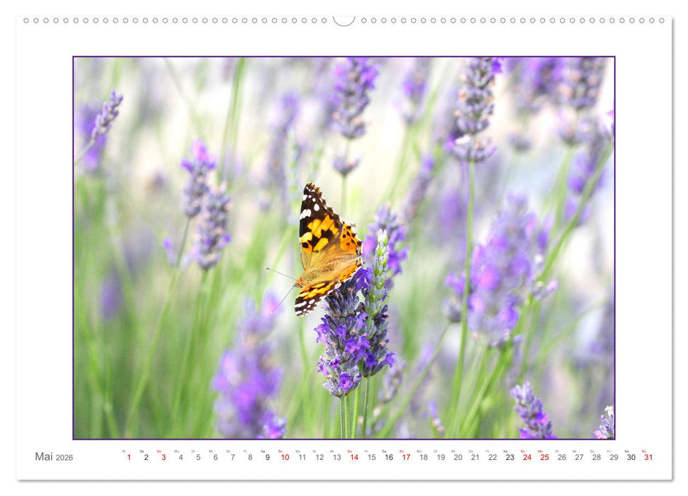 Sanfte Natur (CALVENDO Wandkalender 2026)