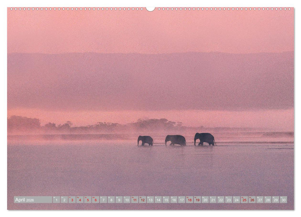 Spirit of Asia - Im Reich der guten Geister (CALVENDO Wandkalender 2026)