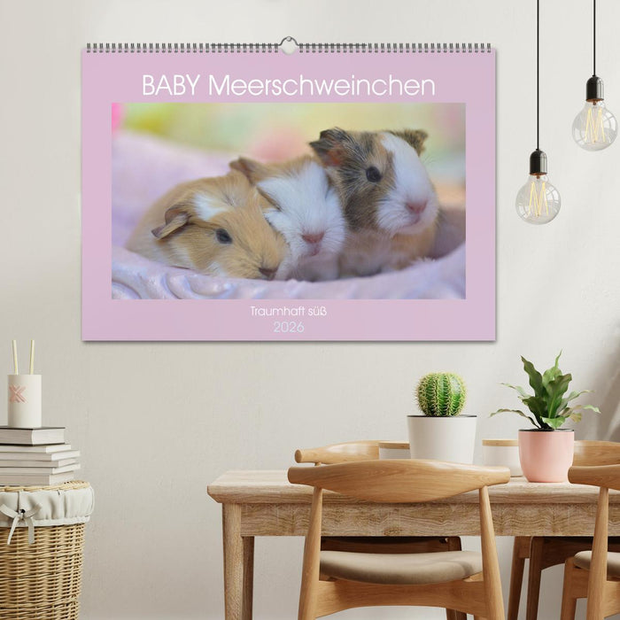 BABY Meerschweinchen Traumhaft süß (CALVENDO Wandkalender 2026)