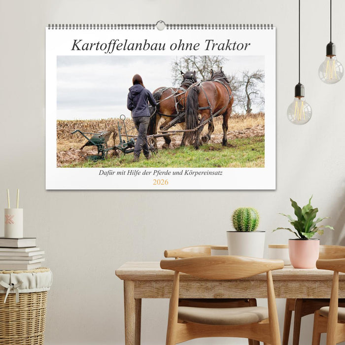 Kartoffelanbau ohne Traktor (CALVENDO Wandkalender 2026)