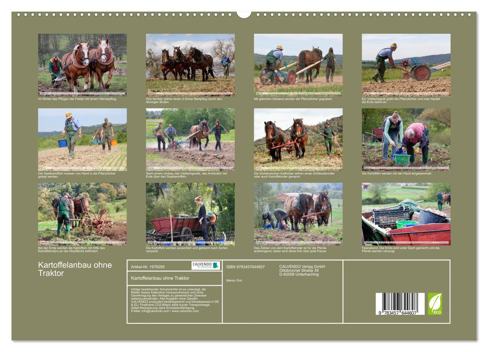 Kartoffelanbau ohne Traktor (CALVENDO Wandkalender 2026)