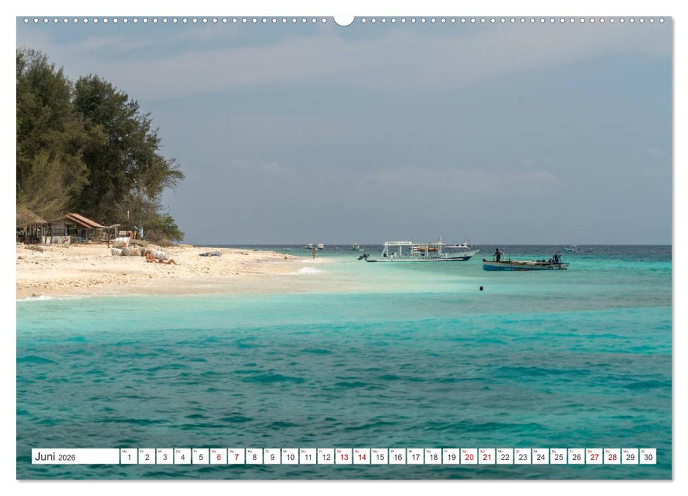 Strandparadiese (CALVENDO Wandkalender 2026)
