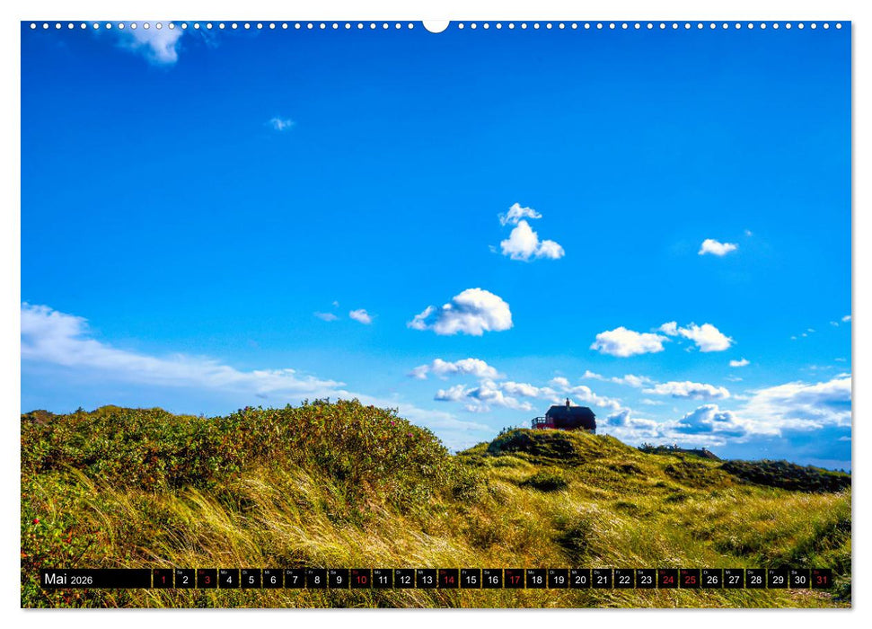 Dänemark - Eindrücke Vom Ringköbing Fjord bis Bovbjerg (CALVENDO Wandkalender 2026)