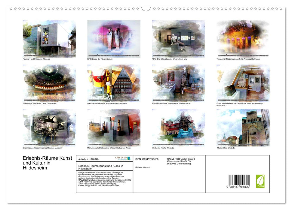 Erlebnis-Räume Kunst und Kultur in Hildesheim (CALVENDO Wandkalender 2026)