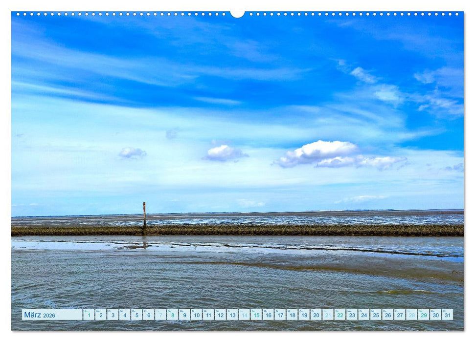 Beach Light Inspiration (CALVENDO Wandkalender 2026)