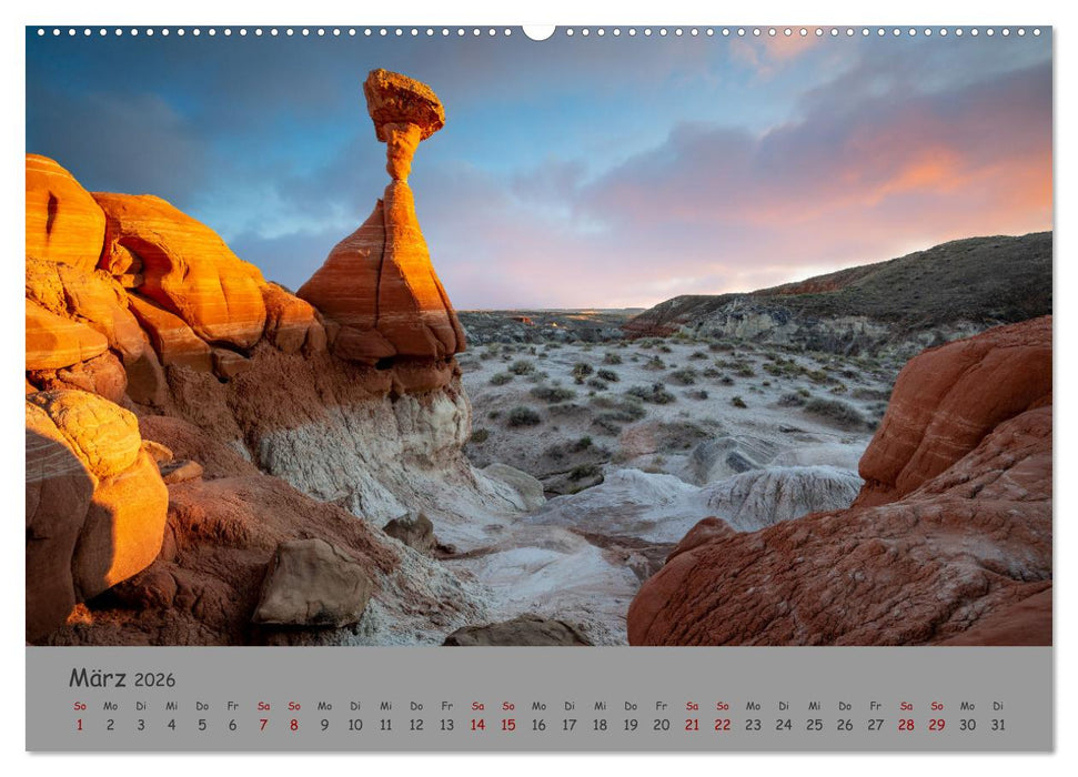 Versteinerte Landschaft (CALVENDO Wandkalender 2026)