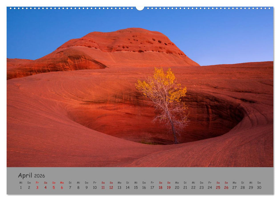 Versteinerte Landschaft (CALVENDO Wandkalender 2026)