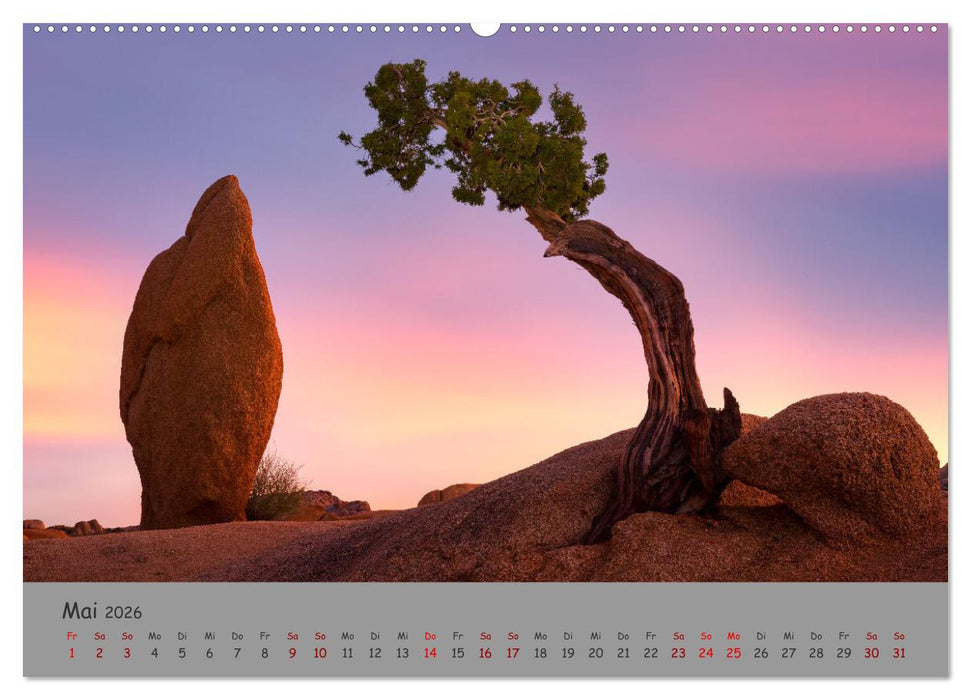 Versteinerte Landschaft (CALVENDO Wandkalender 2026)