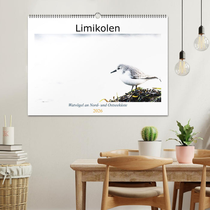 Limikolen - Watvögel an Nord- und Ostseeküste (CALVENDO Wandkalender 2026)