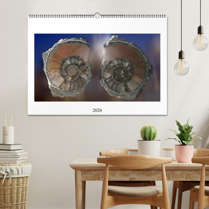 Versteinerte Welt (CALVENDO Wandkalender 2026)