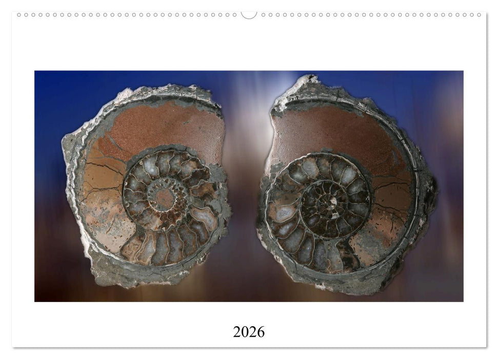 Versteinerte Welt (CALVENDO Wandkalender 2026)