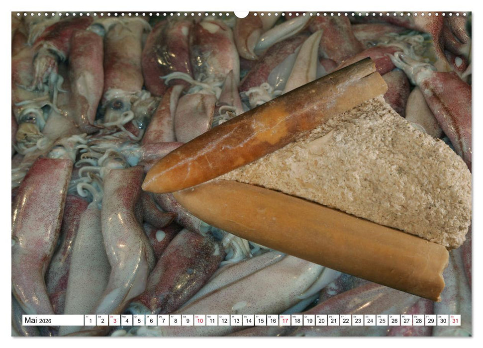 Versteinerte Welt (CALVENDO Wandkalender 2026)