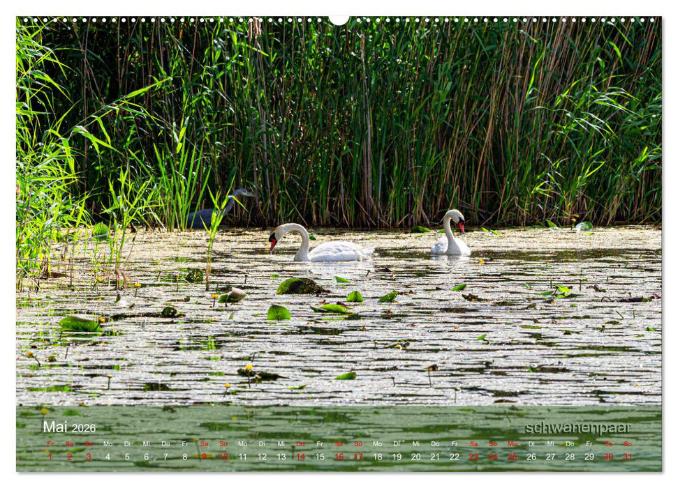 der elbestrom (CALVENDO Wandkalender 2026)