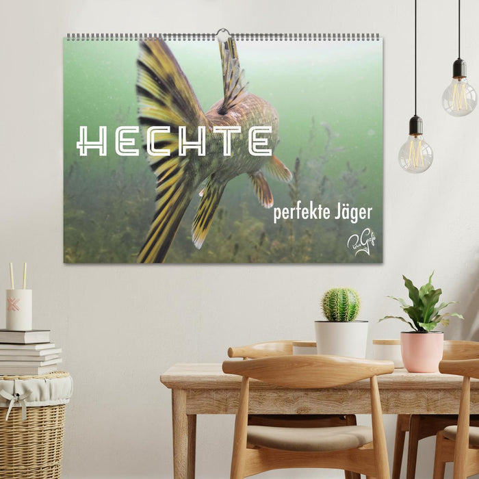 Hechte - perfekte Jäger (CALVENDO Wandkalender 2026)