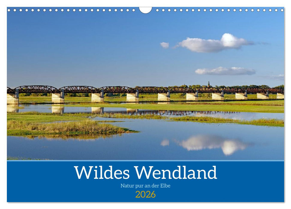 Wildes Wendland (CALVENDO Wandkalender 2026)