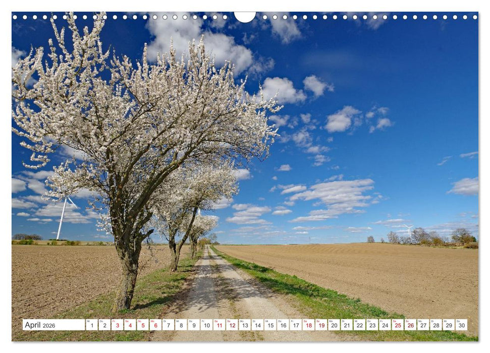 Wildes Wendland (CALVENDO Wandkalender 2026)