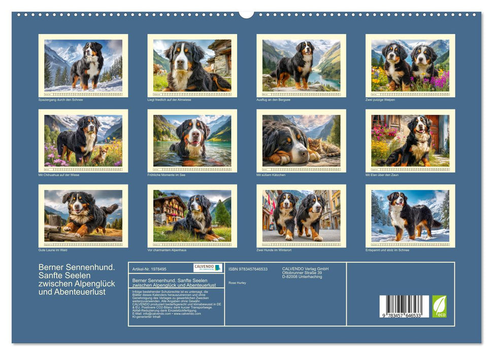 Berner Sennenhund. Sanfte Seelen zwischen Alpenglück und Abenteuerlust (CALVENDO Premium Wandkalender 2026)