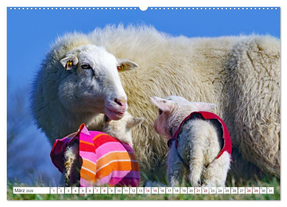 Wildes Wendland (CALVENDO Wandkalender 2026)