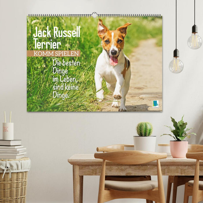 Jack Russell Terrier: Komm spielen (CALVENDO Wandkalender 2026)
