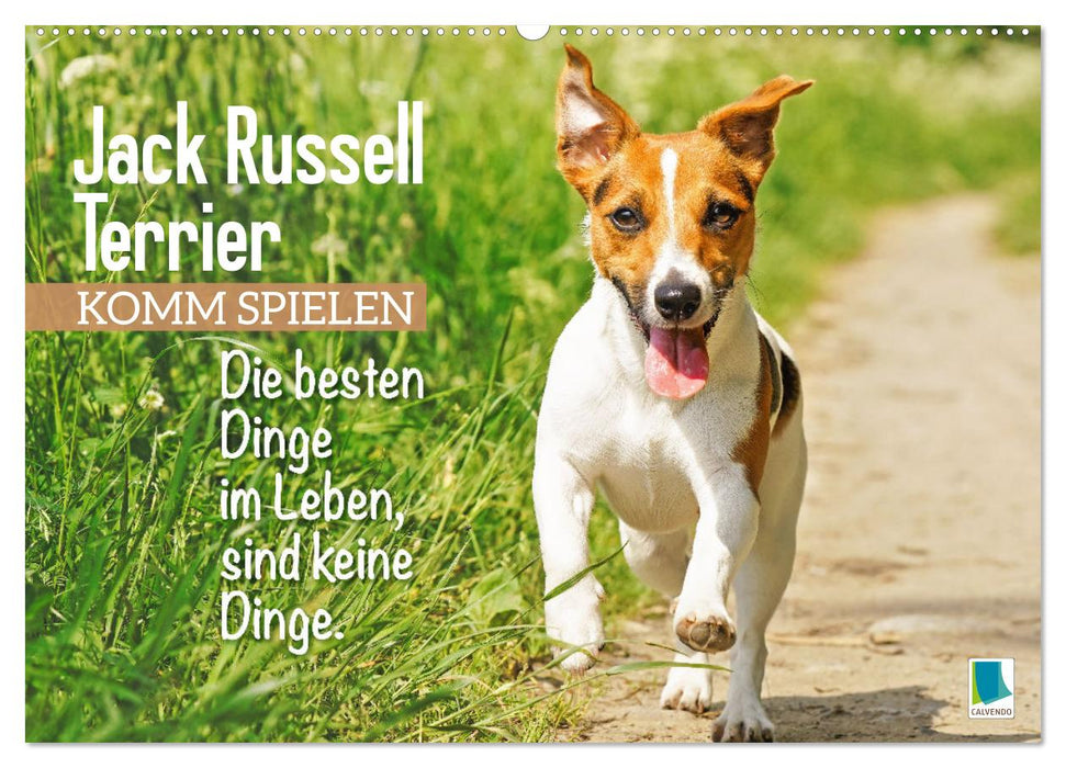 Jack Russell Terrier: Komm spielen (CALVENDO Wandkalender 2026)