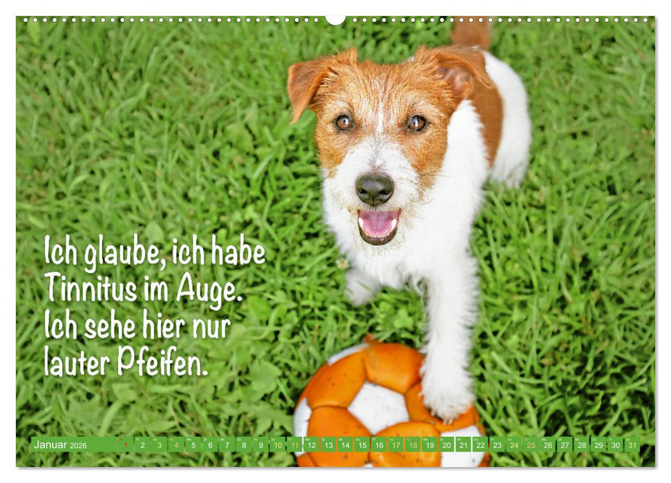 Jack Russell Terrier: Komm spielen (CALVENDO Wandkalender 2026)