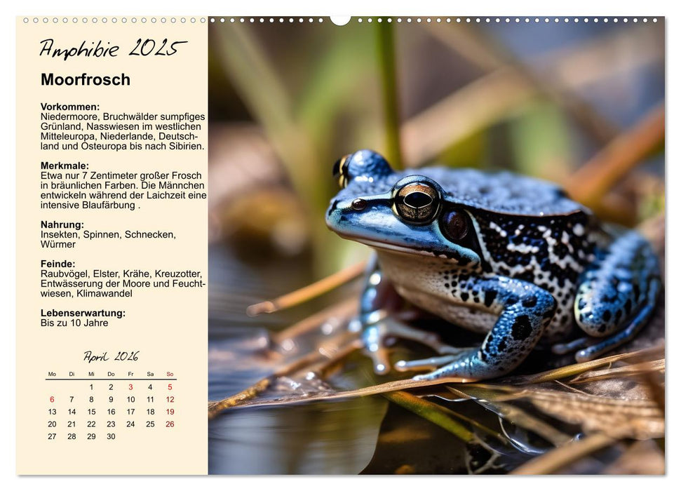 Wildtiere des Jahres (CALVENDO Premium Wandkalender 2026)