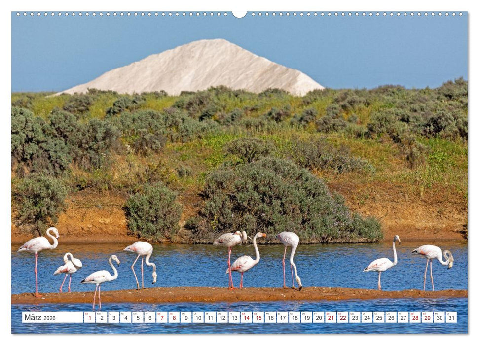 Die Sandalgarve - Der flache Küstenabschnitt im Südosten Portugals (CALVENDO Wandkalender 2026)