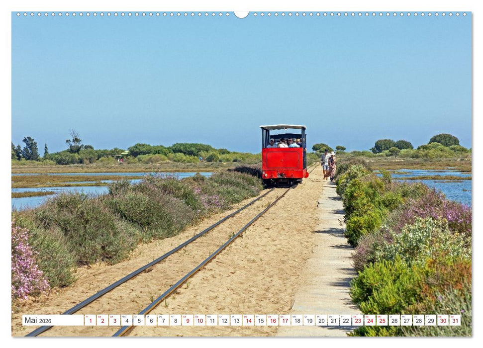 Die Sandalgarve - Der flache Küstenabschnitt im Südosten Portugals (CALVENDO Wandkalender 2026)