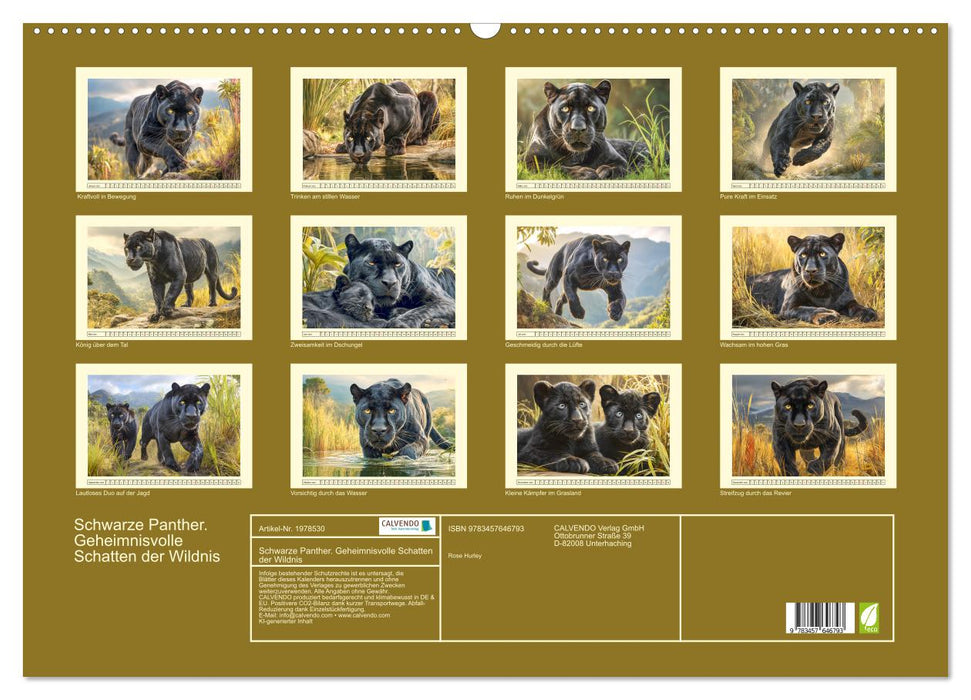 Schwarze Panther. Geheimnisvolle Schatten der Wildnis (CALVENDO Wandkalender 2026)