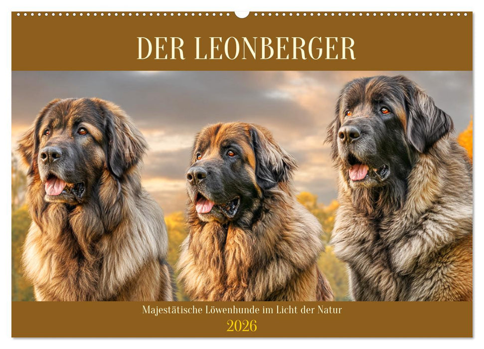 Der Leonberger. Majestätische Löwenhunde im Licht der Natur (CALVENDO Wandkalender 2026)