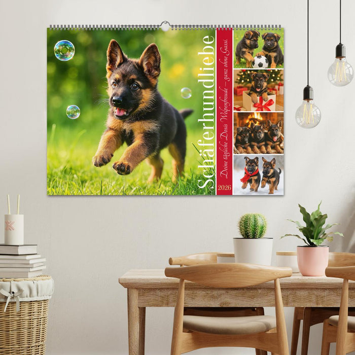 Schäferhundliebe - Deine tägliche Dosis Welpenfreude – ganz ohne Gassi. (CALVENDO Wandkalender 2026)