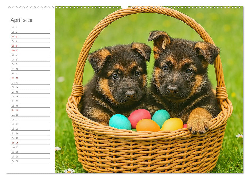 Schäferhundliebe - Deine tägliche Dosis Welpenfreude – ganz ohne Gassi. (CALVENDO Wandkalender 2026)