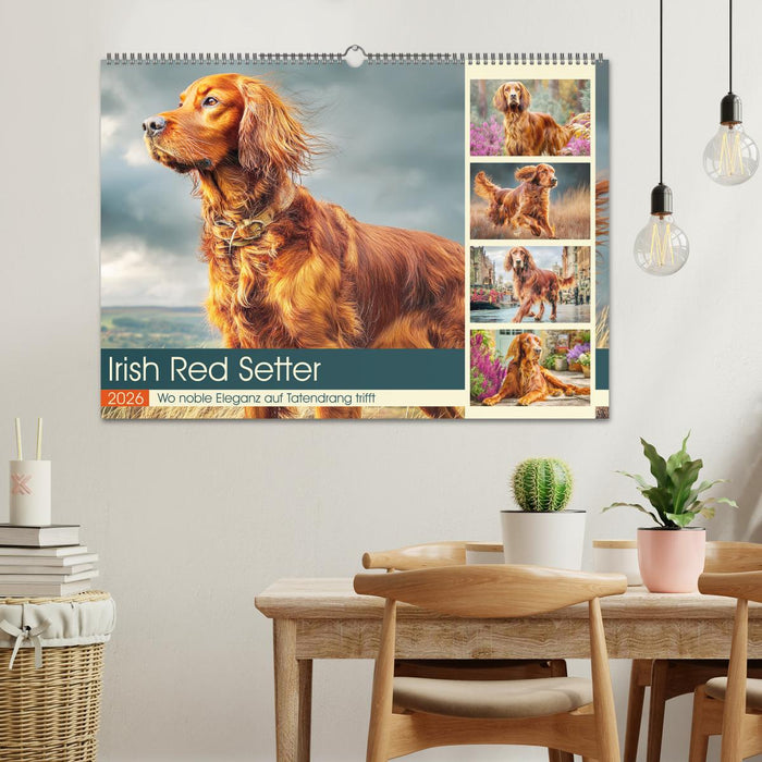 Irish Red Setter. Wo noble Eleganz auf Tatendrang trifft (CALVENDO Wandkalender 2026)