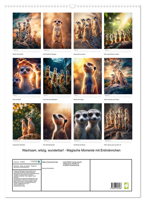 Wachsam, witzig, wunderbar! - Magische Momente mit Erdmännchen (CALVENDO Wandkalender 2026)