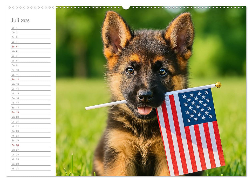 Schäferhundliebe - Deine tägliche Dosis Welpenfreude – ganz ohne Gassi. (CALVENDO Premium Wandkalender 2026)