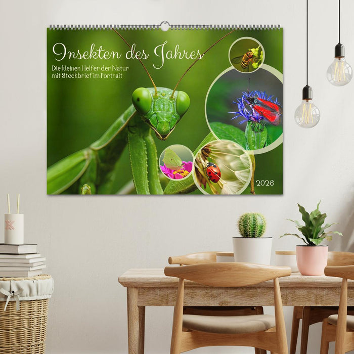 Insekt des Jahres (CALVENDO Wandkalender 2026)